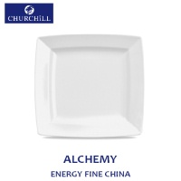 Click for a bigger picture.7" Energy Square Plate